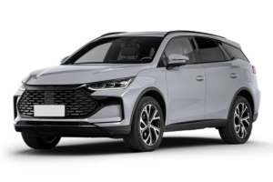 Tang L 2026